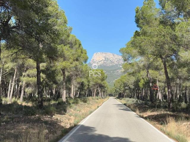 Terreno en Venta en Totana