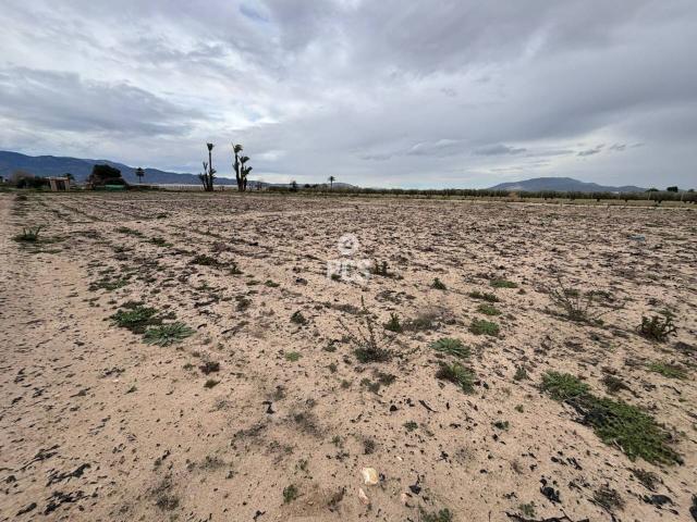 Terreno en venta en Totana