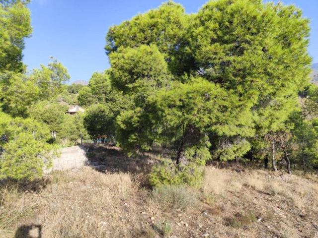 Terreno en Venta en Totana