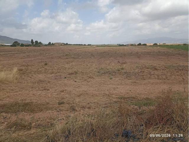 Terreno en Venta en Totana