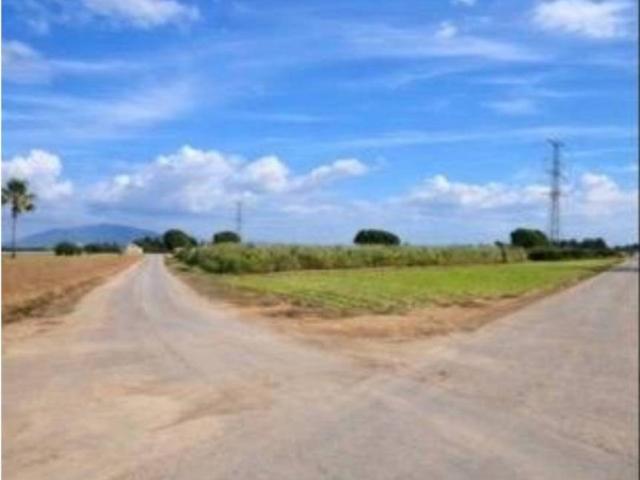Terreno en Venta en Totana
