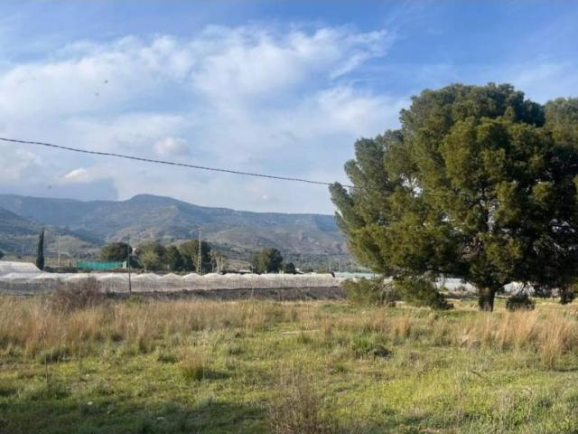 Terreno en Venta en Totana