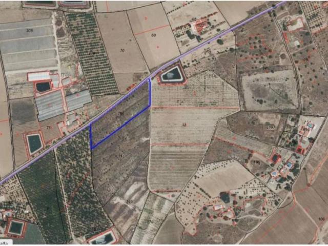 Terreno en Venta en Totana