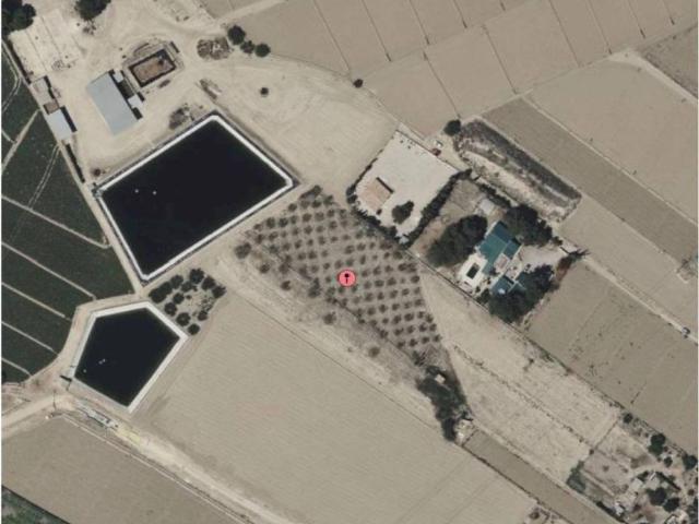 Terreno en Venta en Totana