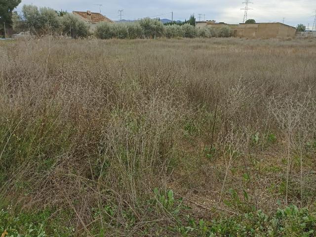 Terreno en Venta en Totana