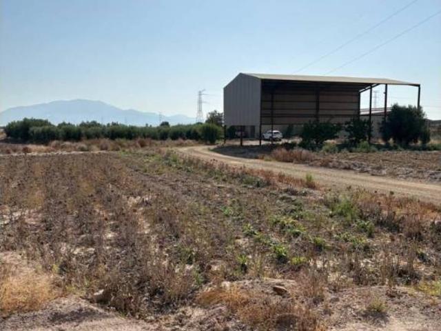 Terreno en Venta en Totana