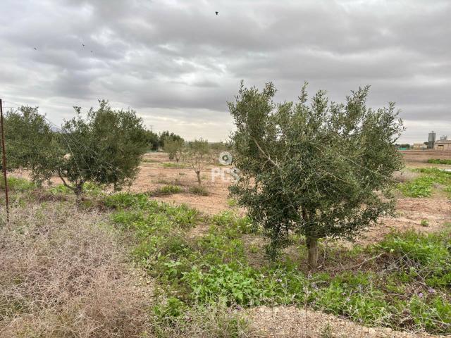Terreno en venta en Totana