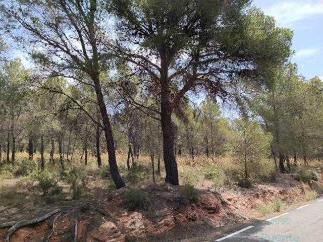 Terreno en Venta en Totana