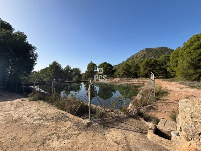 Terreno en venta en Totana