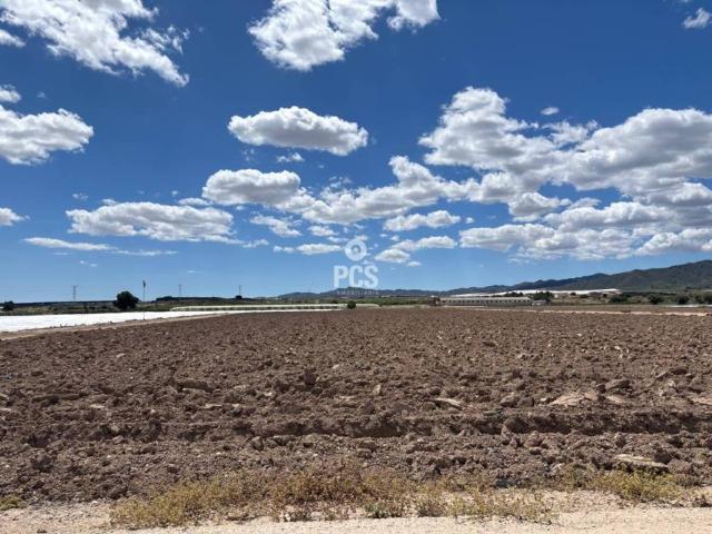 Terreno en Venta en Totana