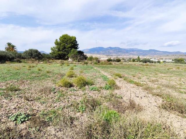 Terreno en venta en Totana, Totana