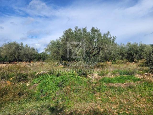 Terreno en Venta en Traiguera