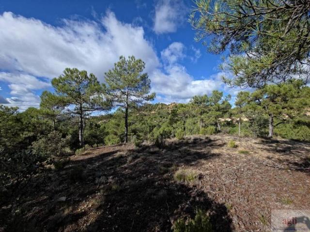 Terreno en Venta en Trillo