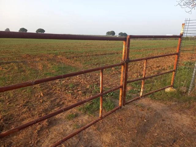 Terreno en Venta en Utrera