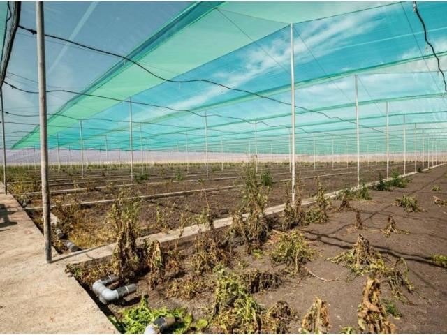 Terreno en Venta en Utrera