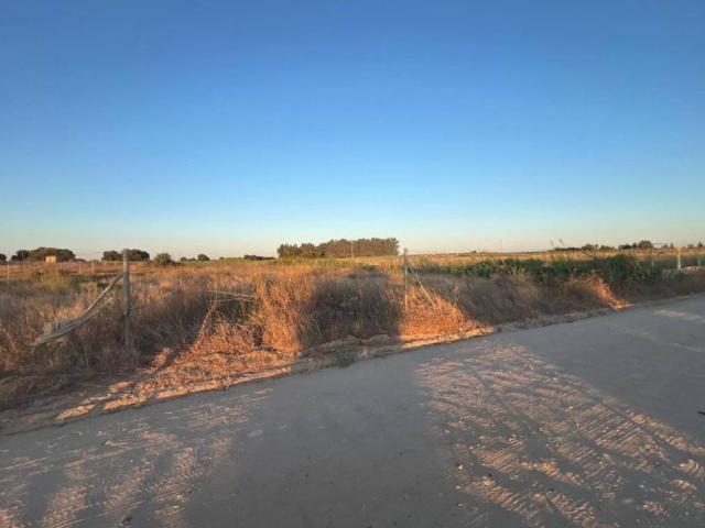 Terreno en Venta en Utrera