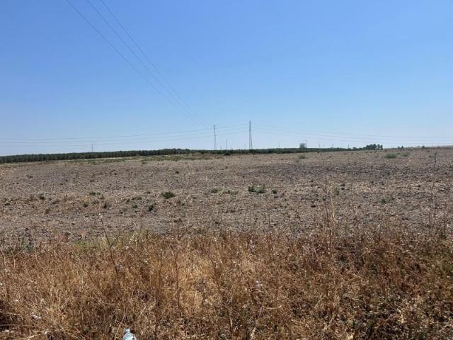 Terreno en venta en Utrera
