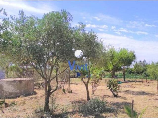 Terreno en Venta en Utrera