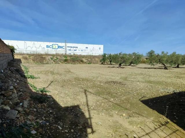 Terreno en Venta en Utrera