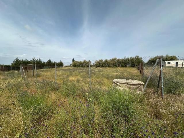 Terreno en Venta en Utrera