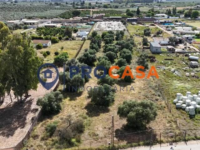 Terreno en Venta en Utrera