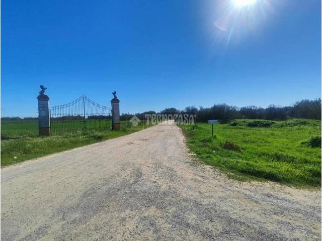 Terreno en Venta en Utrera