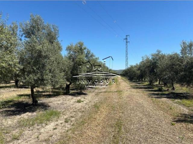 Terreno en venta en Úbeda, Ubeda