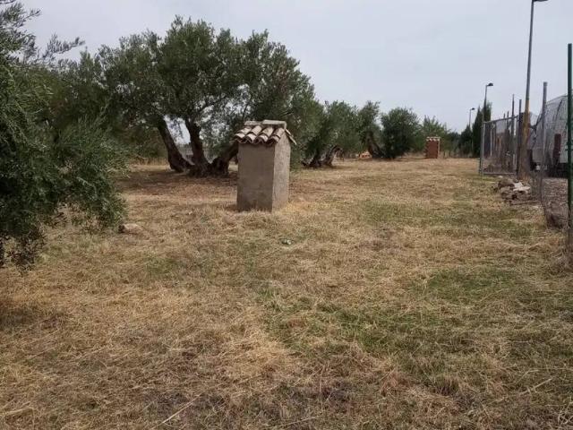 Terreno en Venta en Úbeda