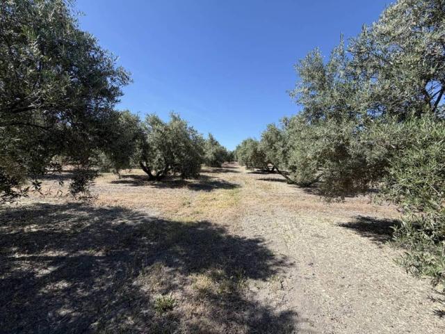 Terreno en Venta en Úbeda
