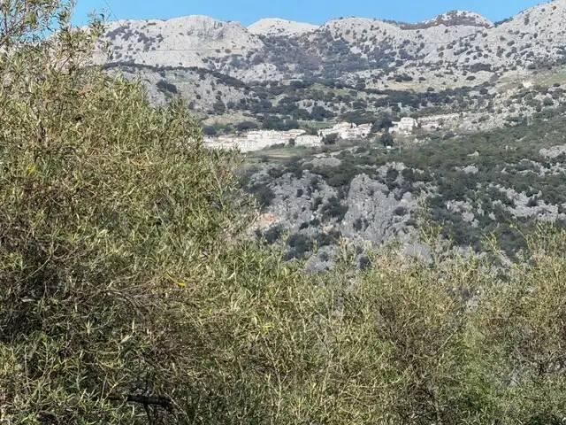 Terreno en Venta en Ubrique