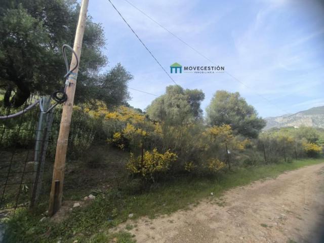 Terreno en venta en Ubrique, EL AMARGUILLO