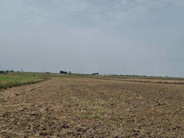 Terreno en Venta en Ugena