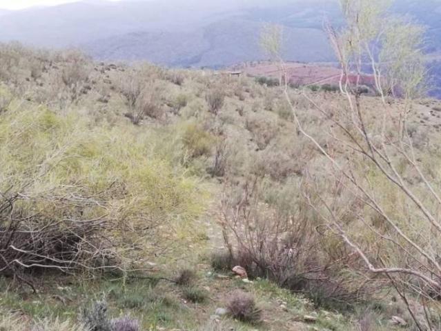 Terreno en Venta en Ugíjar