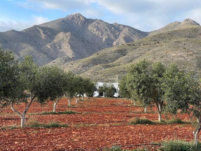 Terreno en Venta en Uleila del Campo