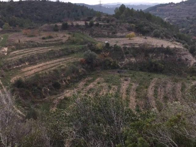 Terreno en Venta en Ullastrell