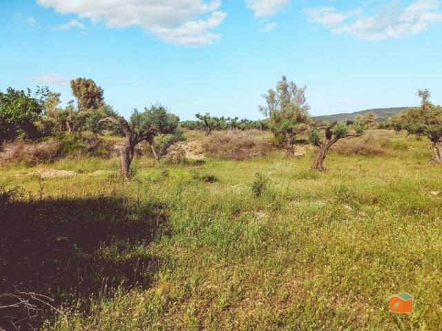 Terreno en Venta en Ulldecona
