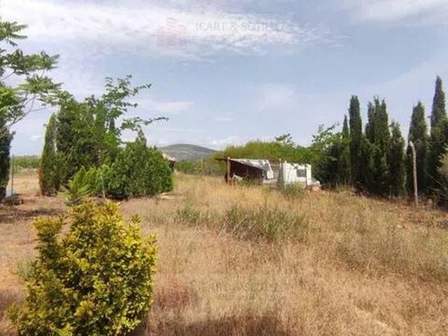Terreno en Venta en Ulldecona