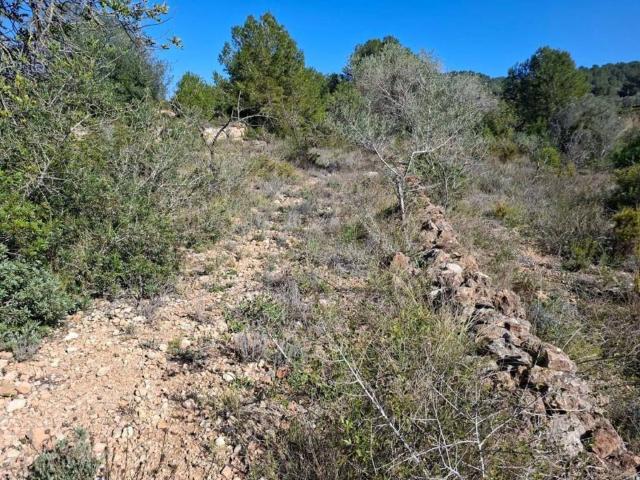 Terreno en Venta en Ulldecona