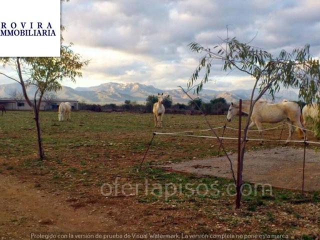 Terreno en Venta en Ulldecona