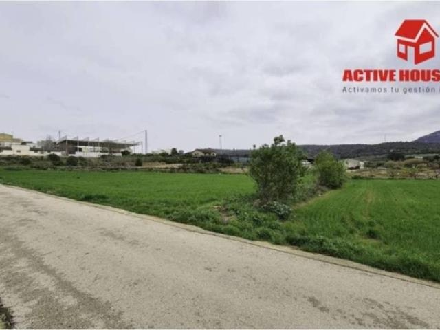 Terreno en Venta en Ulldecona