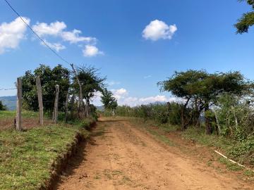 Terreno en venta en Umécuaro Rodeado de huertas de aguacate