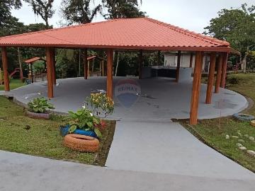 Terreno en Venta en Urbanización, Pedro Vicente M