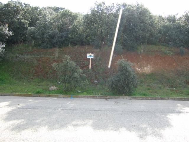 Terreno en venta en Urbanización Sotolargo
