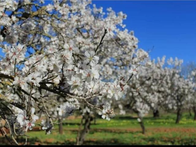 Terreno en Venta en Urda