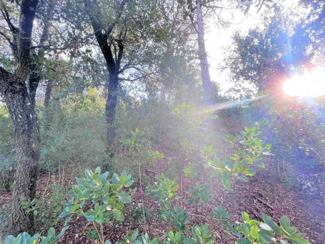 Terreno en Venta en Vacarisses