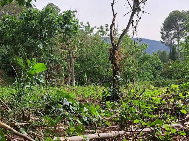 Terreno en Venta en Vacarisses