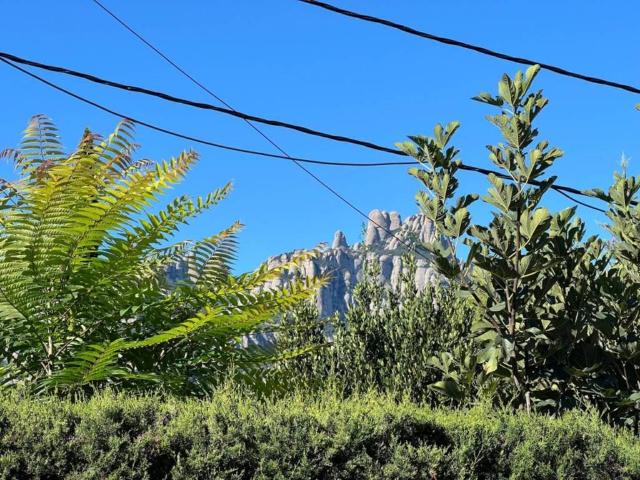 Terreno en Venta en Vacarisses