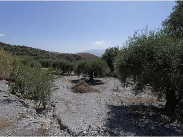 Terreno en Venta en Válor