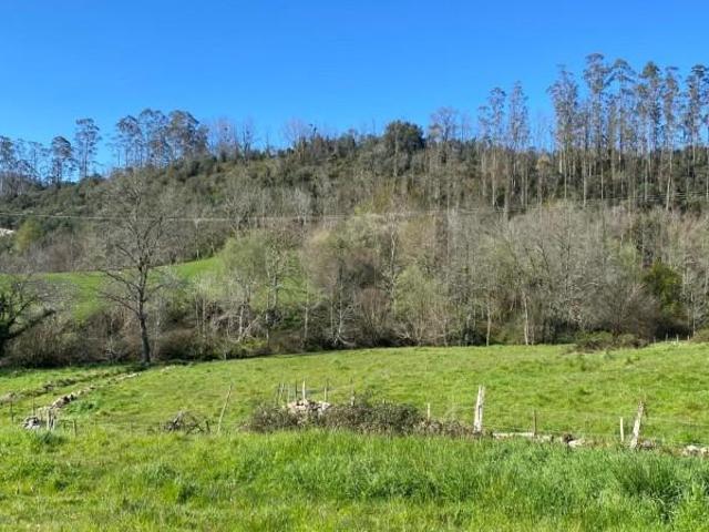 Terreno en venta en Valdáliga, Las cuevas 3