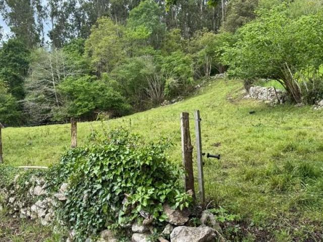 Terreno en venta en Valdáliga, Las cuevas 3